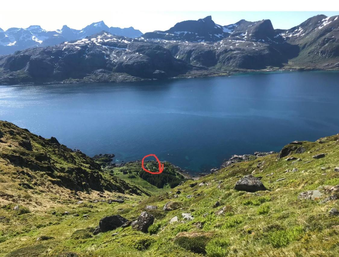 Vettinghytta, Close To The Sea With Amazing View. Gravdal  المظهر الخارجي الصورة