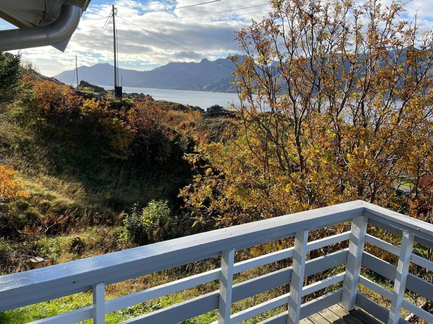 Vettinghytta, Close To The Sea With Amazing View. Gravdal  المظهر الخارجي الصورة