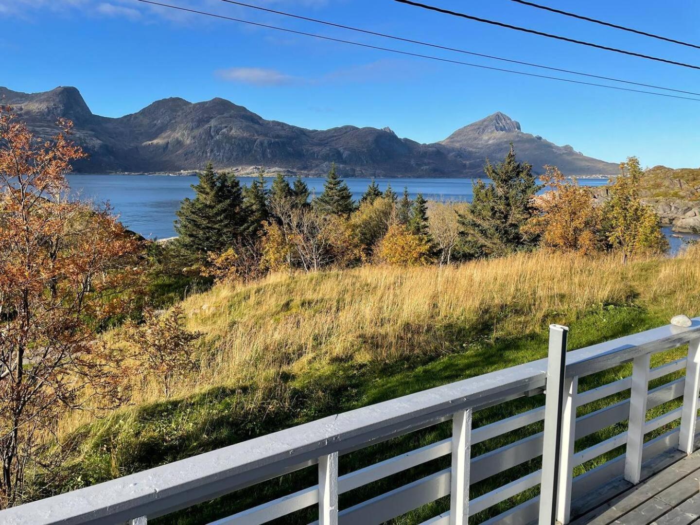 Vettinghytta, Close To The Sea With Amazing View. Gravdal  المظهر الخارجي الصورة