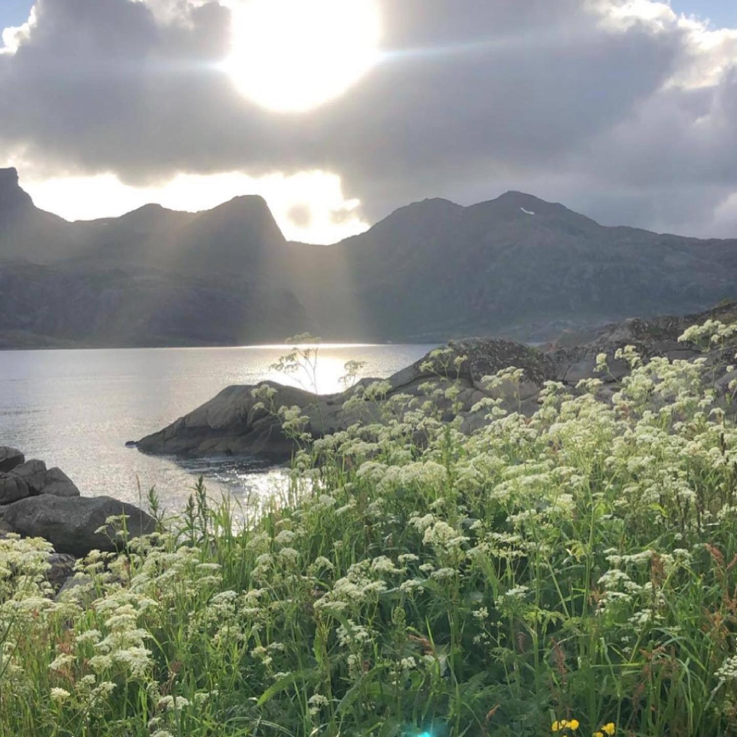 Vettinghytta, Close To The Sea With Amazing View. Gravdal  المظهر الخارجي الصورة